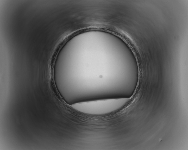 X0000094421267200711080951