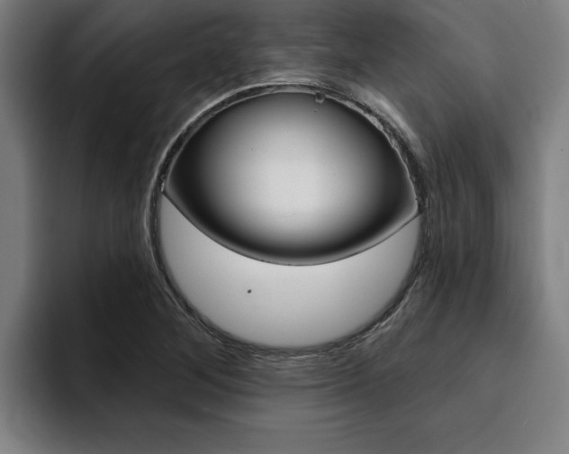X0000094421268200711080951