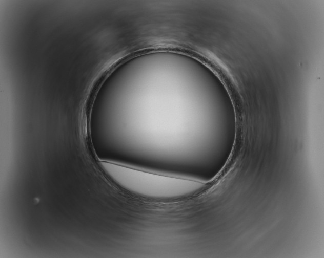 X0000094421269200711080951