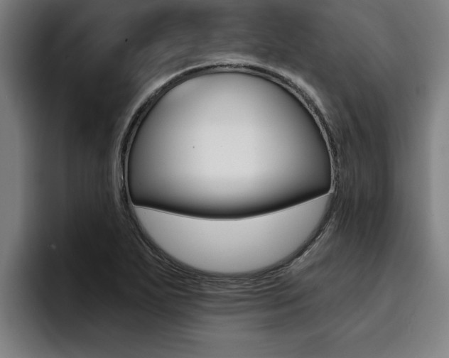 X0000094421271200711080951