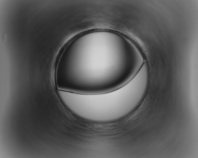 X0000094421272200711080951
