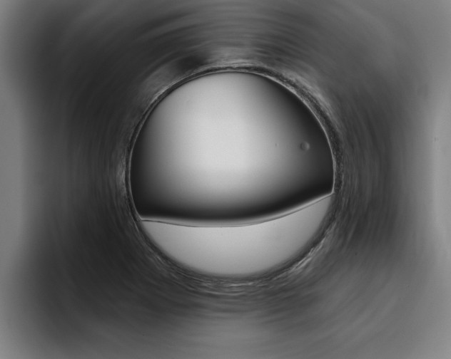 X0000094421273200711080951