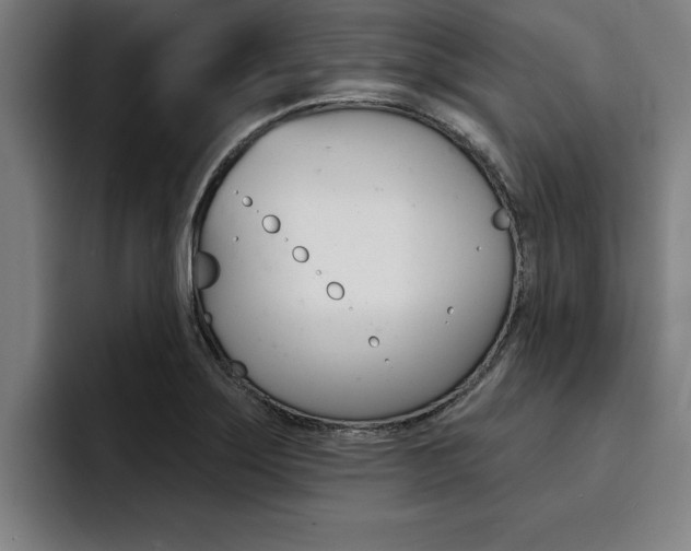 X0000094421275200711080951