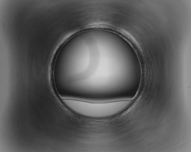 X0000094421277200711080951