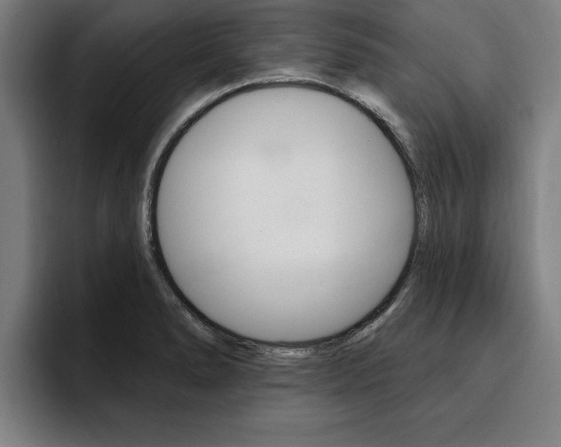 X0000094421278200711080951