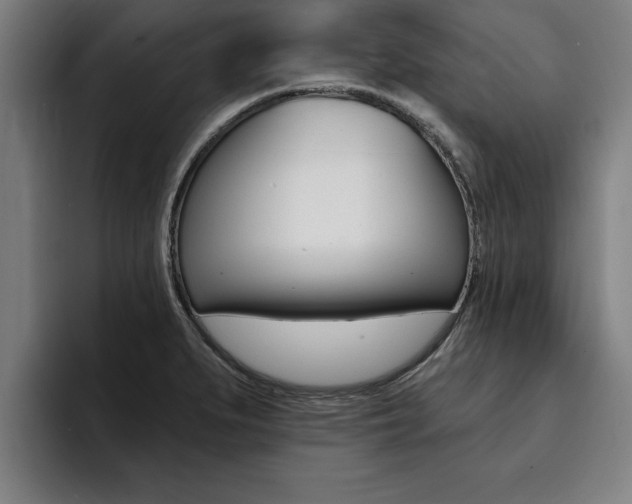 X0000094421279200711080951