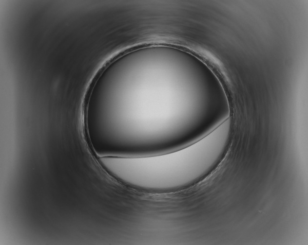 X0000094421280200711080951