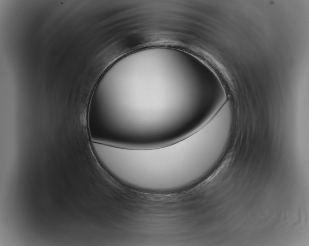 X0000094421281200711080951