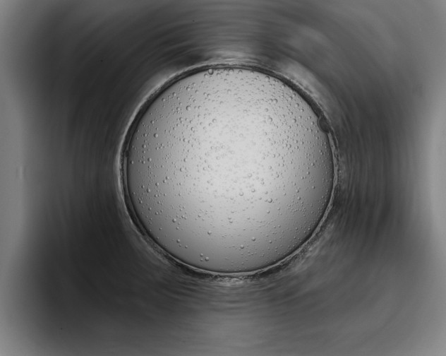 X0000094421283200711080951
