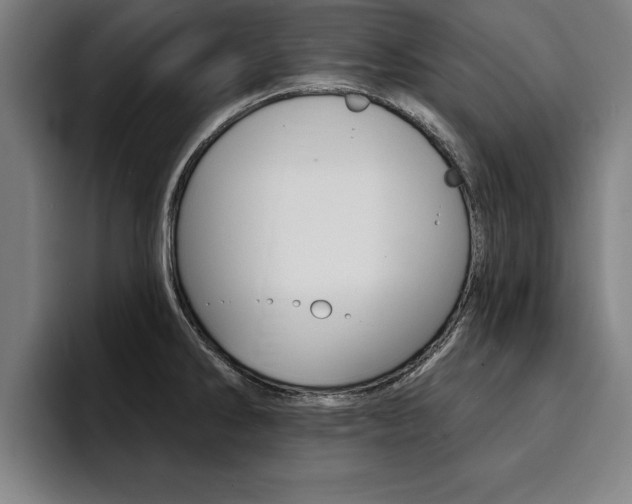X0000094421286200711080951