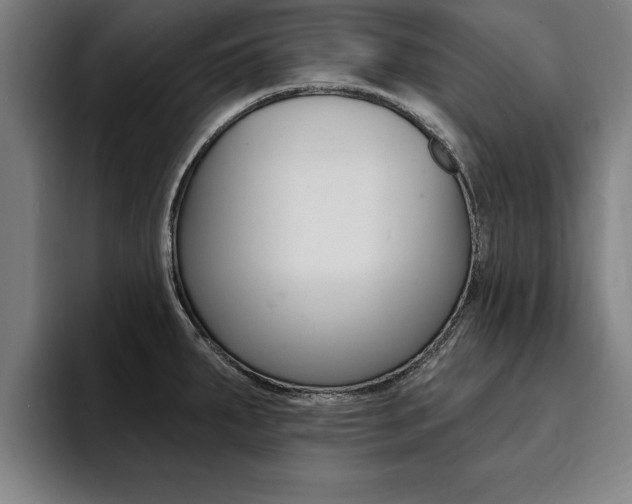 X0000094421287200711080951