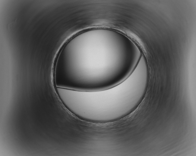 X0000094421288200711080951