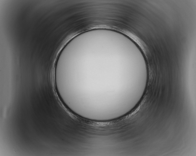 X0000094421290200711080951