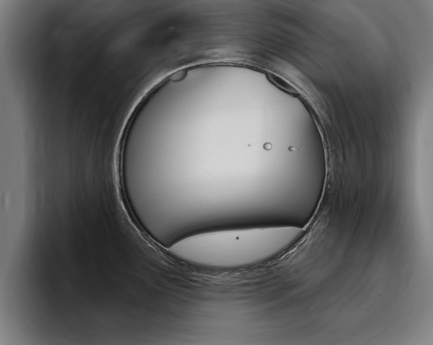 X0000094421291200711080951