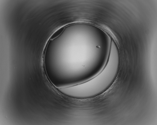 X0000094421292200711080951