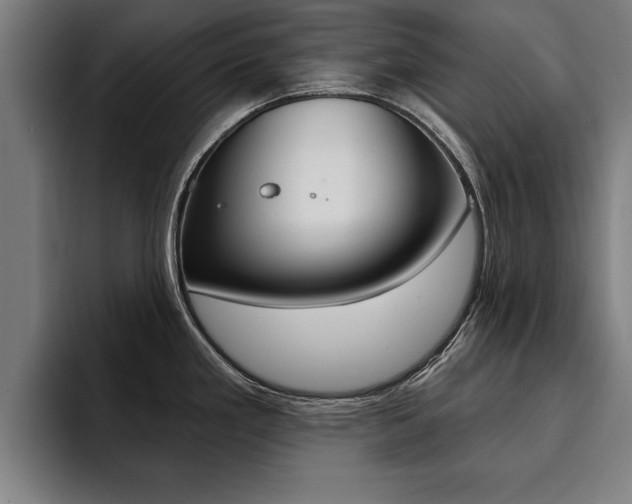 X0000094421293200711080951