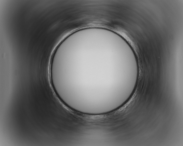 X0000094421294200711080951