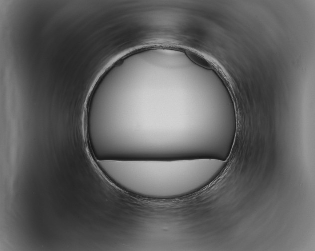 X0000094421295200711080951