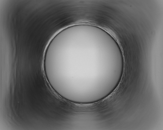 X0000094421296200711080951