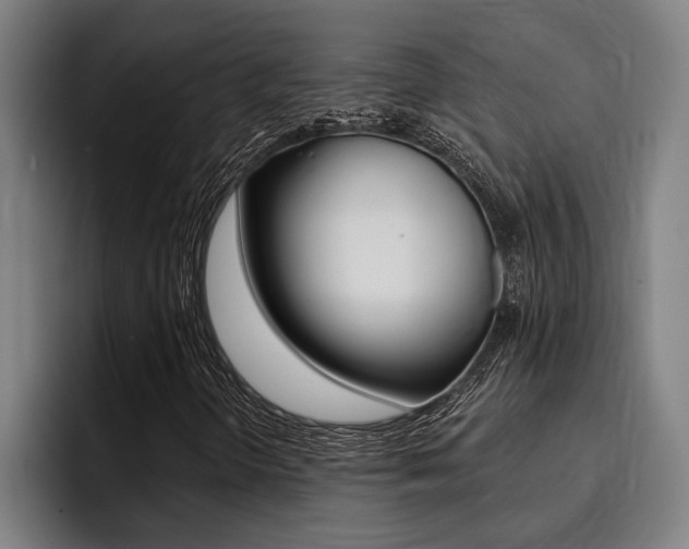 X0000094421298200711080950