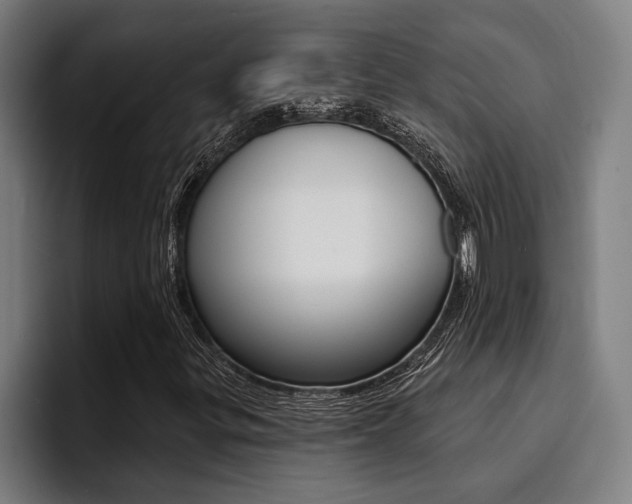 X0000094421299200711080950