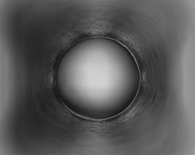 X0000094421300200711080950