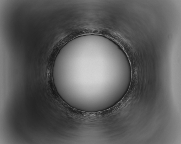 X0000094421302200711080950