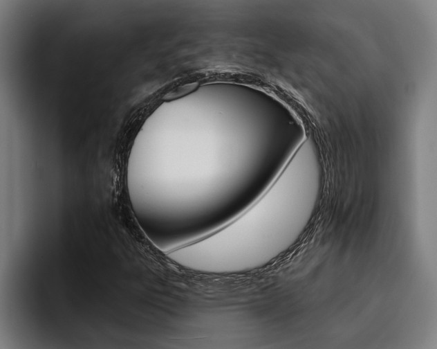 X0000094421303200711080950