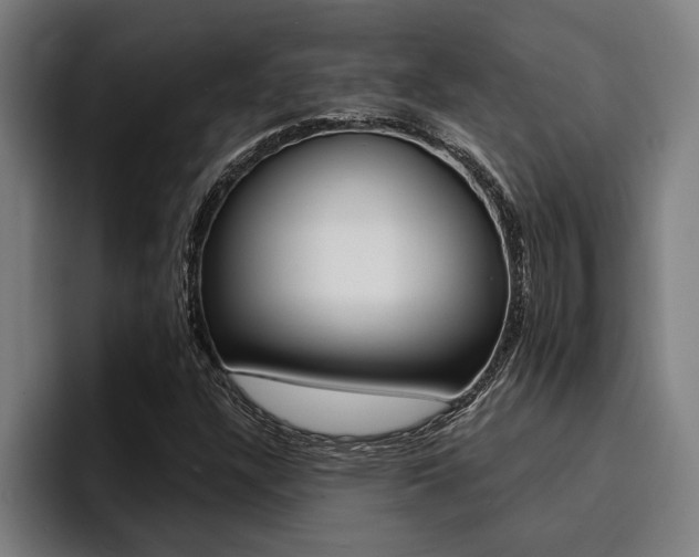 X0000094421304200711080951