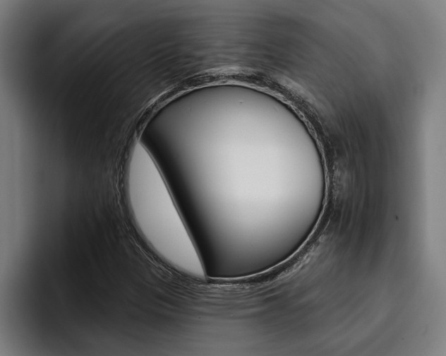 X0000094421305200711080951