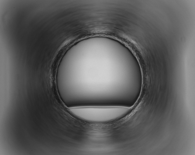 X0000094421306200711080951