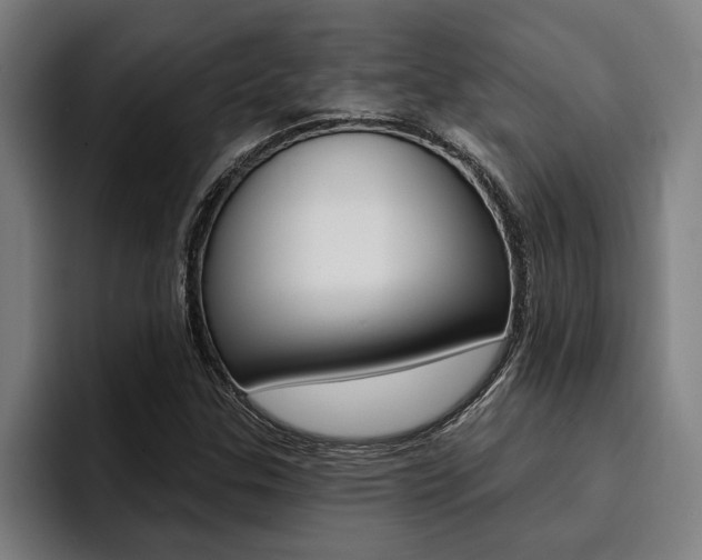 X0000094421307200711080951