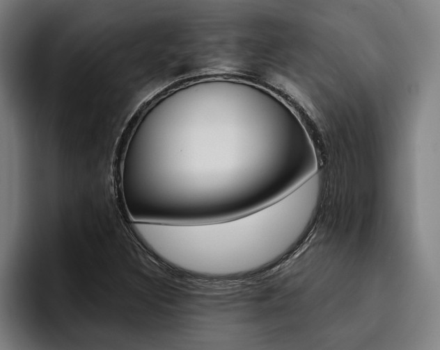 X0000094421308200711080951