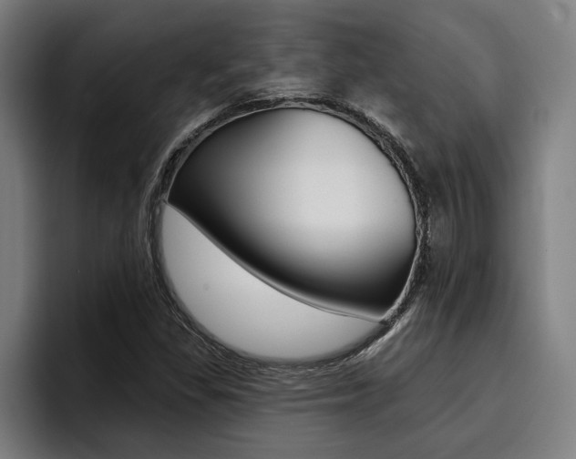 X0000094421309200711080951