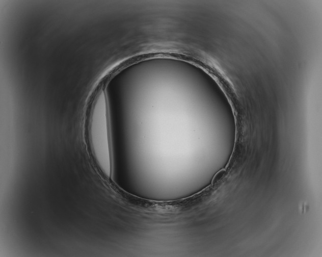 X0000094421312200711080951