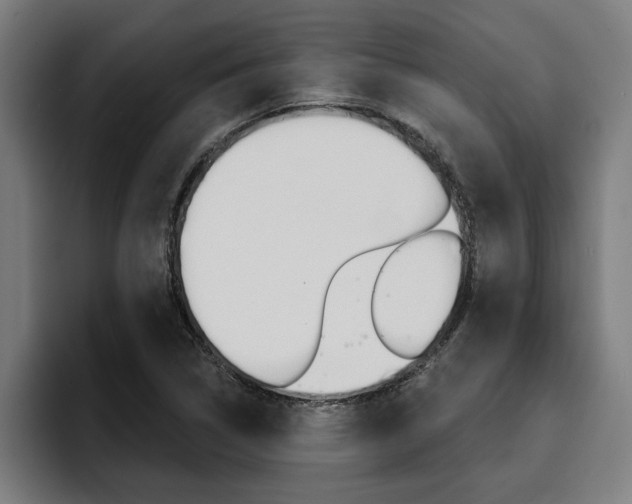 X0000094421314200711080951