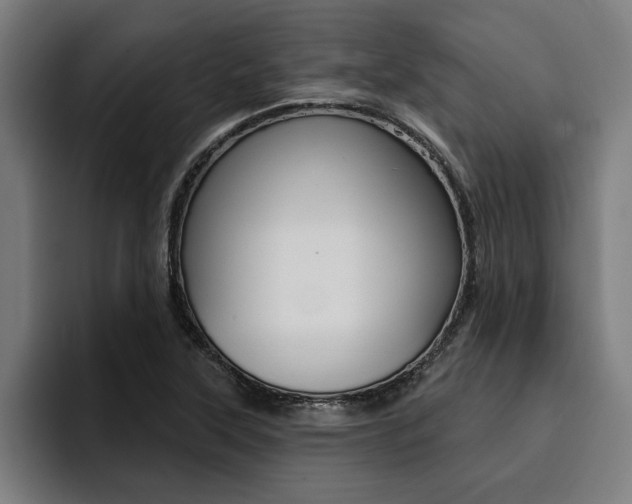X0000094421315200711080951