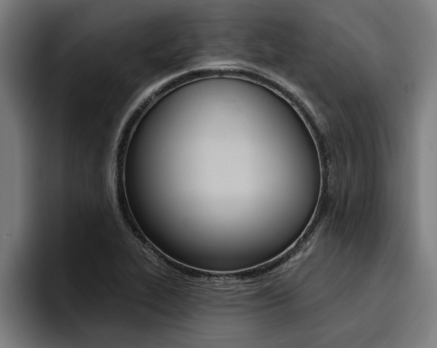 X0000094421319200711080951