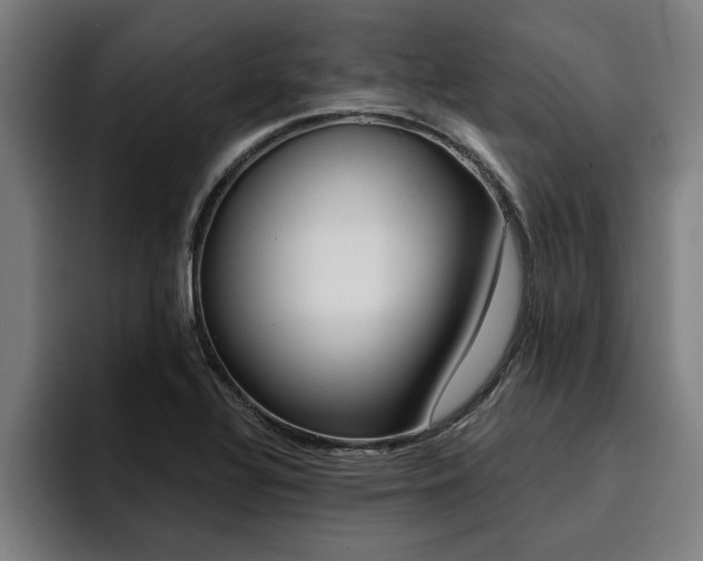 X0000094421320200711080951