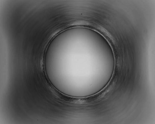 X0000094421321200711080951