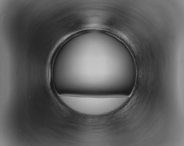 X0000094421323200711080951