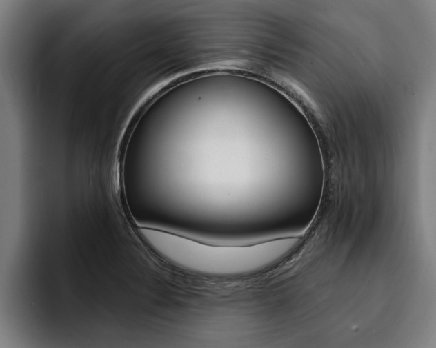 X0000094421324200711080951