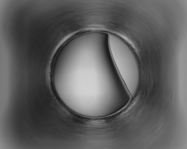 X0000094421325200711080951