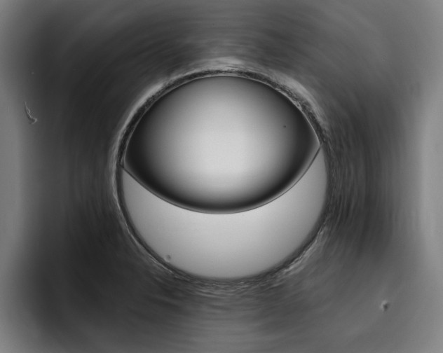 X0000094421326200711080951