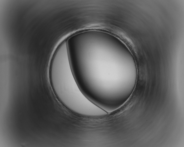 X0000094421328200711080951