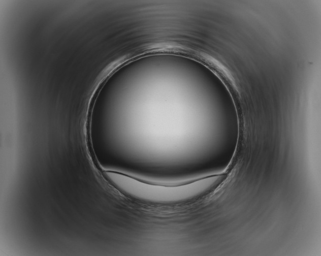 X0000094421330200711080951