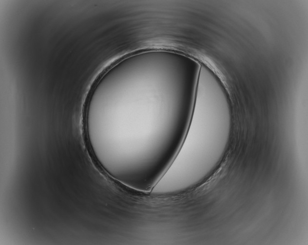 X0000094421331200711080951