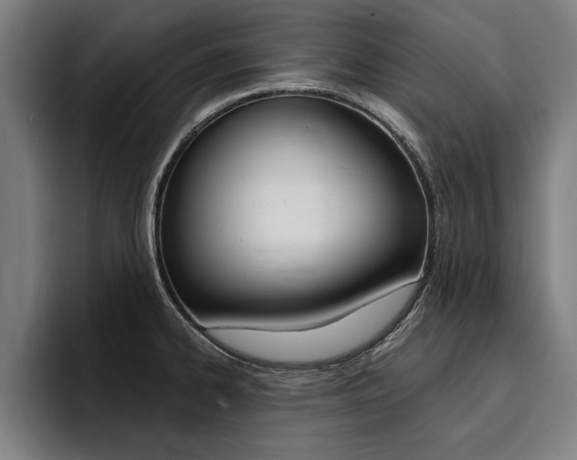 X0000094421334200711080951
