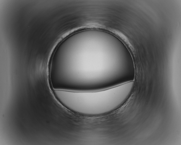 X0000094421335200711080951