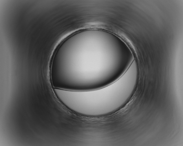 X0000094421336200711080951
